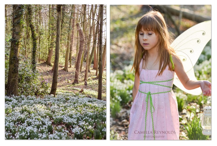 col rococo 1_edited-1