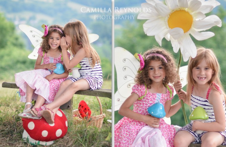 mitzi laura coll web