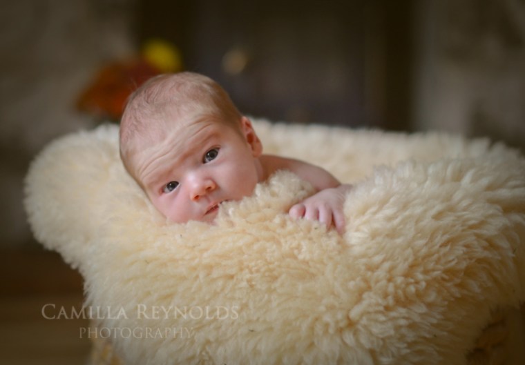 Danny portrait web_edited-no spot