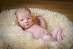 baby camilla reynolds 2