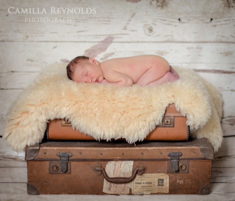 stanley_edited-1 wweb