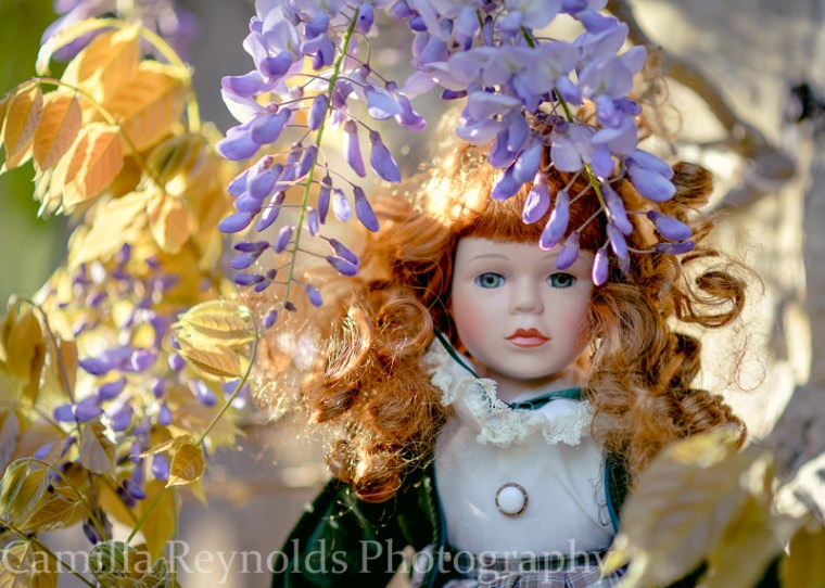 wisteria-0399