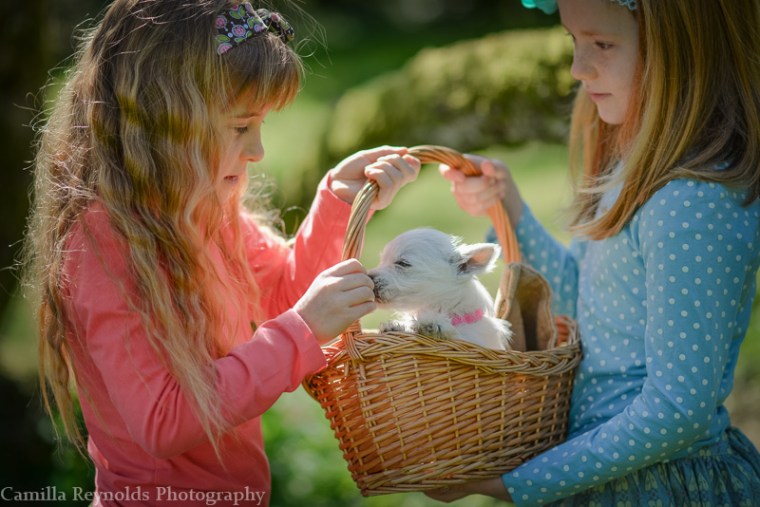 beautiful natural children photography Gloucestershire Cotswolds girls and puppy