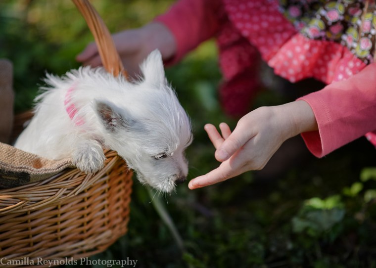 westie children outdoor photo shoot Cotswolds Gloucsetershire