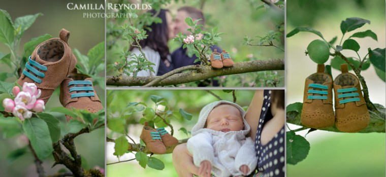 collage newboren pregn_wweb