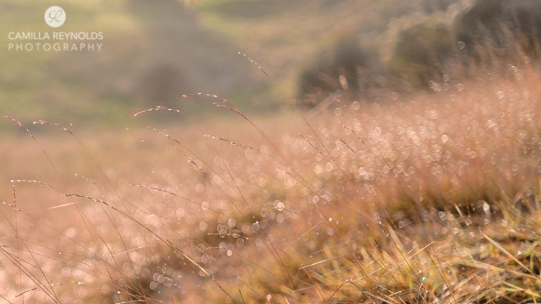 autumn countryside Cotswolds Gloucestershire photographer
