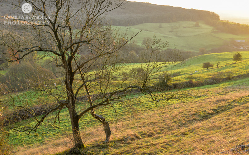 autumn countryside Cotswolds Gloucestershire photographer