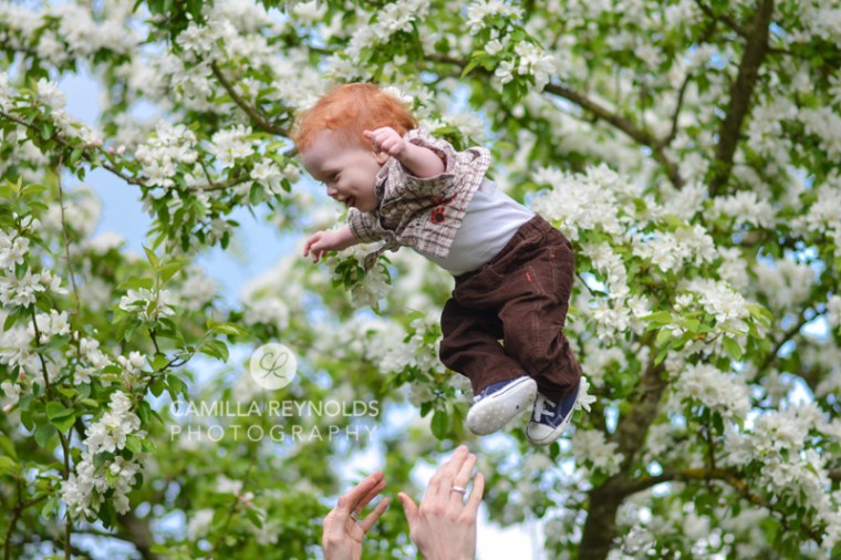family photographers