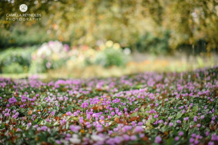 elmore court wedding photographers Gloucestershire Cotwolds