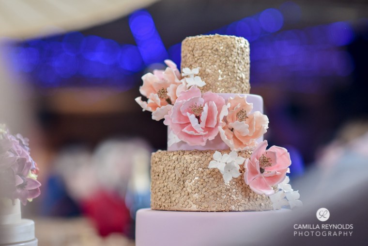 elmore court wedding photographers gold cake