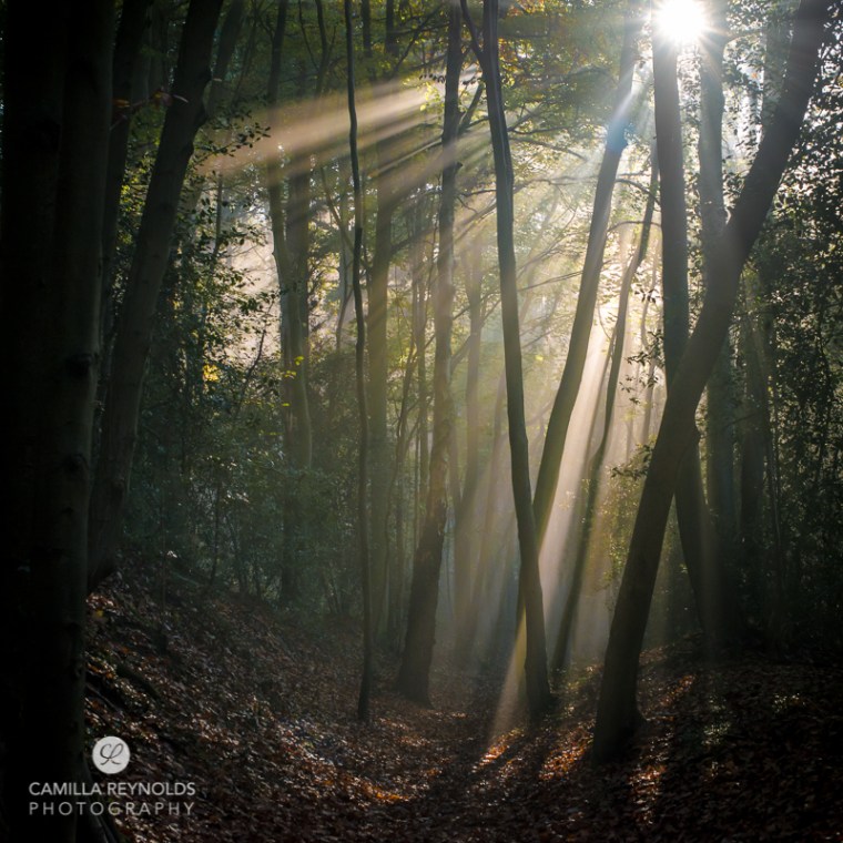 1 camilla reynolds-1643