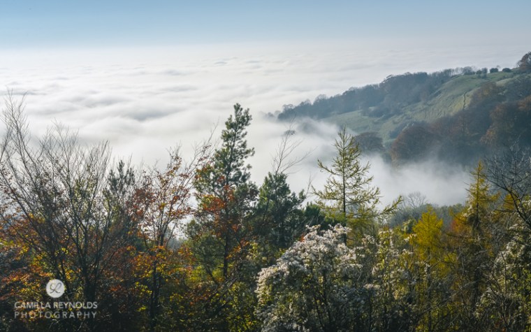 6 camilla reynolds-1500