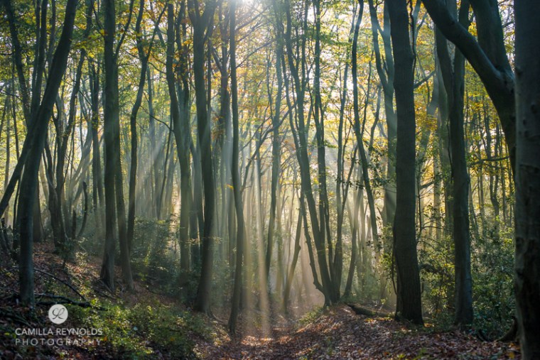 8 camilla reynolds-1571