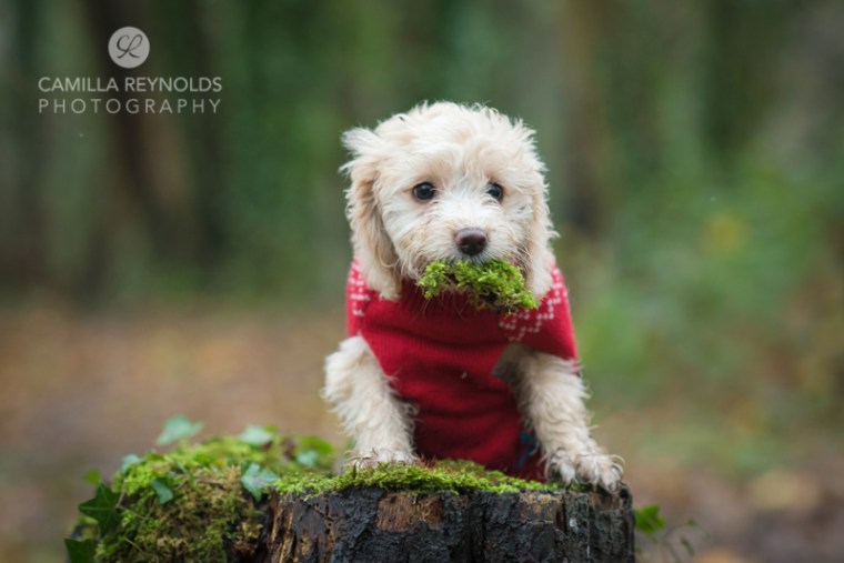 natural_children_photography_gloucestershire