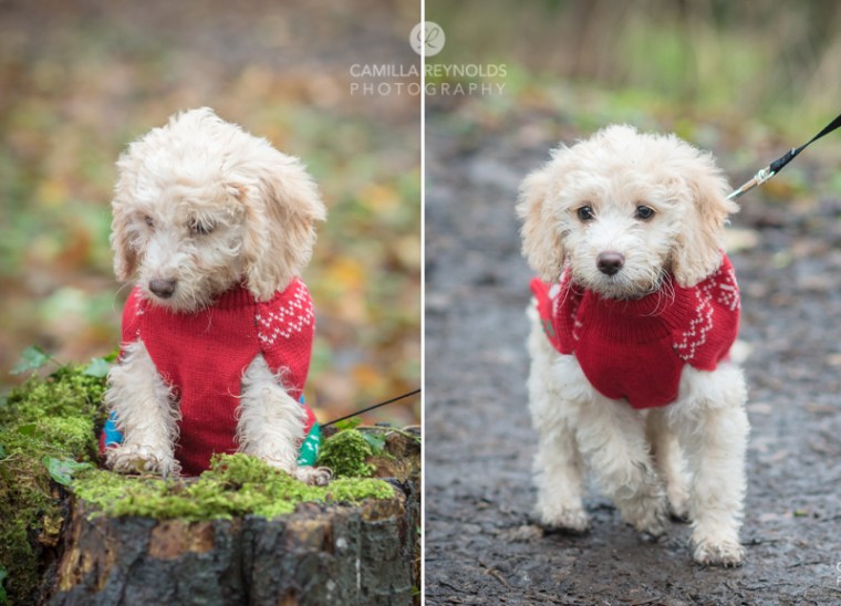 natural_children_photography_gloucestershire