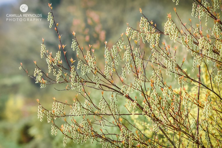 family photo shoot Gloucestershire (15)