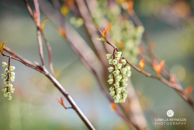 family photo shoot Gloucestershire (20)
