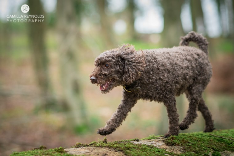 Gloucestershire children photography (7)
