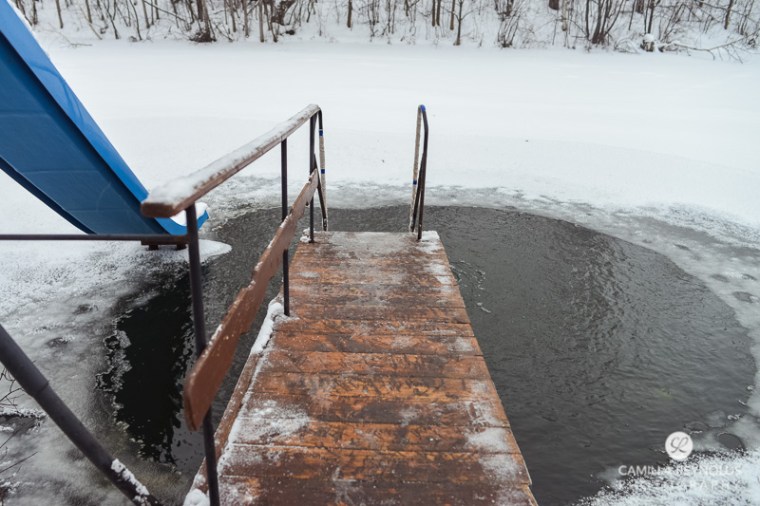 winter nature photography (13)