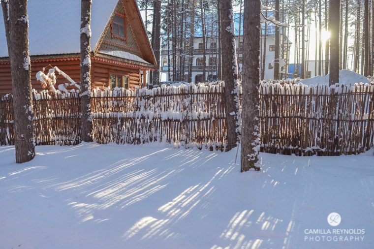 winter nature photography (6)