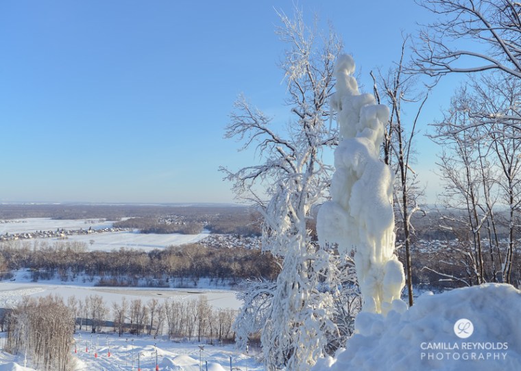 winter nature photography (9)