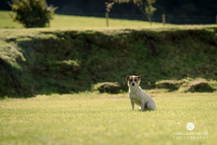 owlpen wedding gloucestershire cotswolds photography (20)