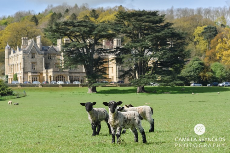 Dumbleton Hall weddings Cotswold wedding photographer (77)