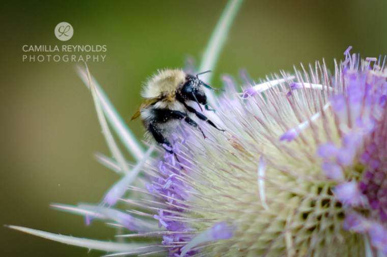calcot-cotswold-family-photography-16