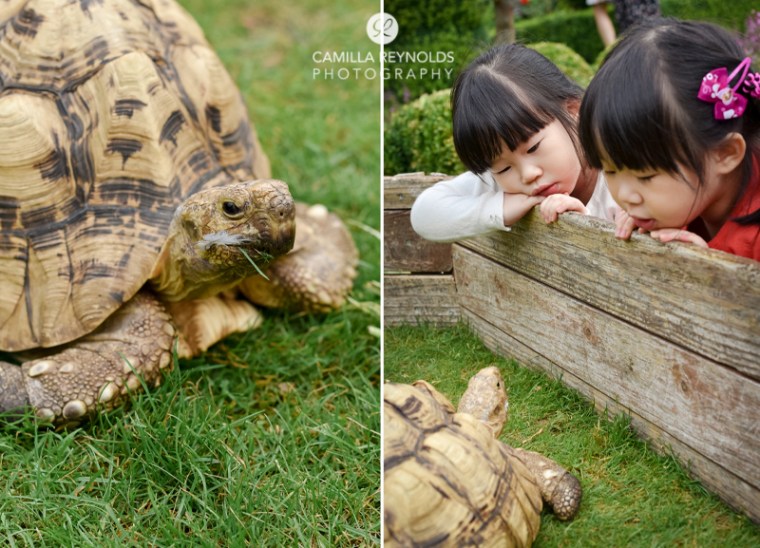 cotswold-family-photographer-wiltshire-4