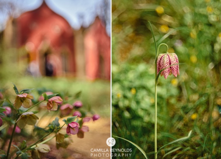 Camilla Reynolds photographer (1)