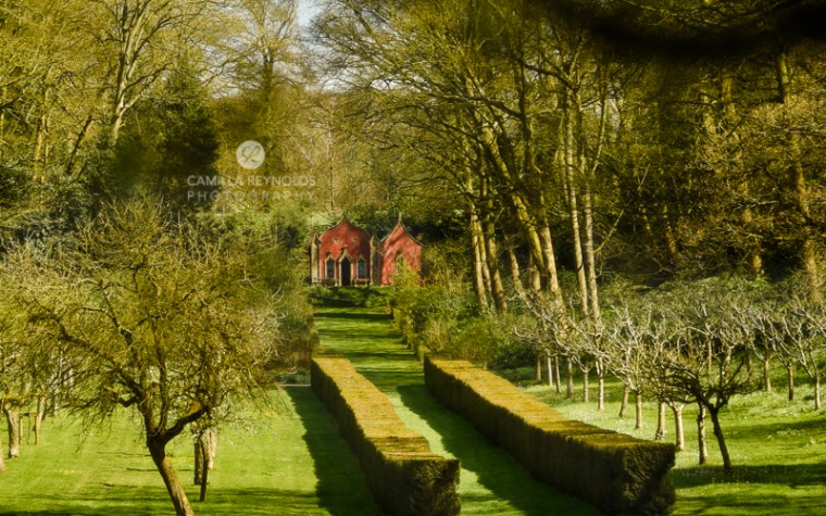 Camilla Reynolds photographer (10)