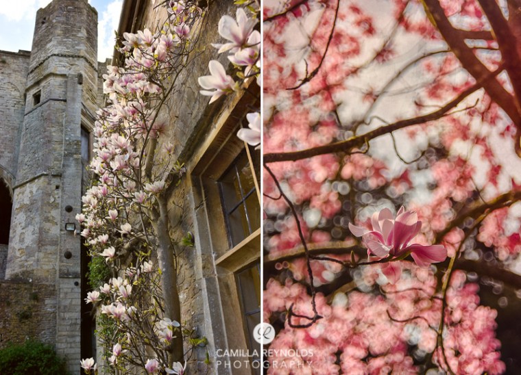 Camilla Reynolds photographer (12)