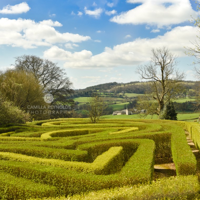 Camilla Reynolds photographer (23)