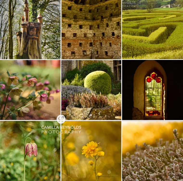 camilla reynolds UK photographer