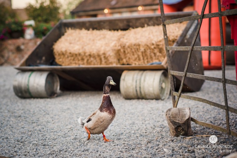 wedding photographer Cotswolds barn (106)
