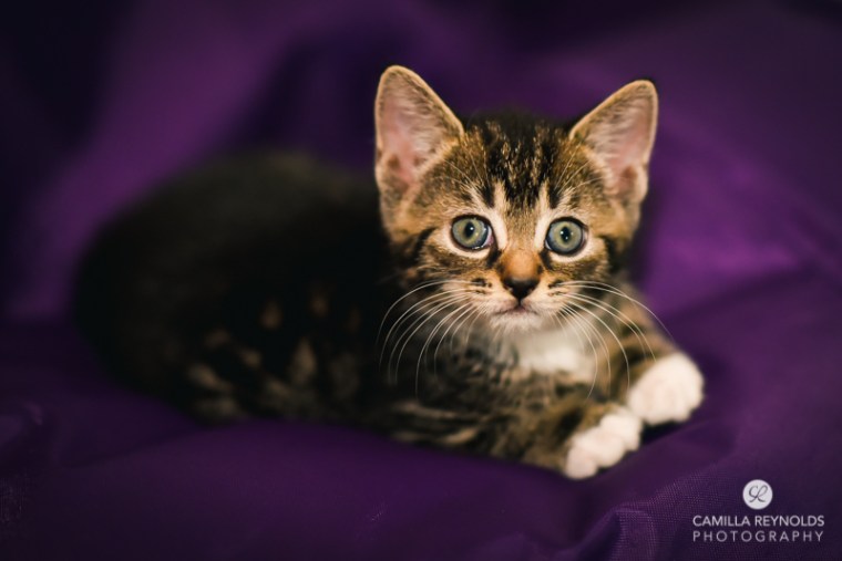 photographer family Cotswolds Gloucestershire (10)