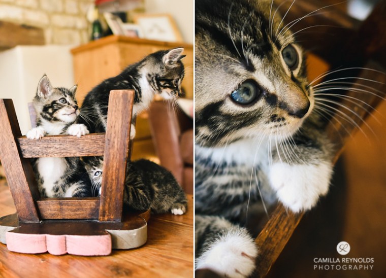 photographer family Cotswolds Gloucestershire (15)