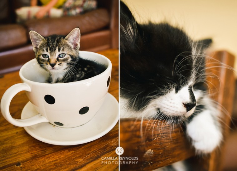 photographer family Cotswolds Gloucestershire (17)