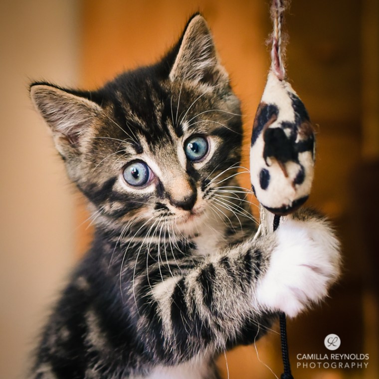 photographer family Cotswolds Gloucestershire (18)