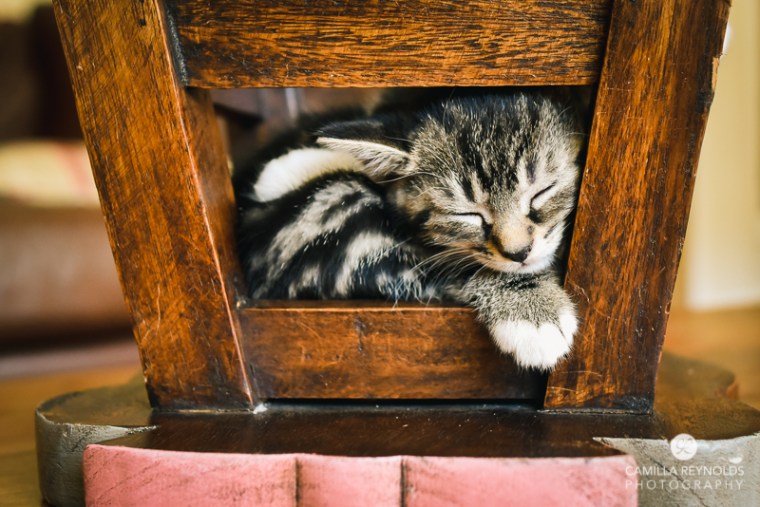 photographer family Cotswolds Gloucestershire (7)