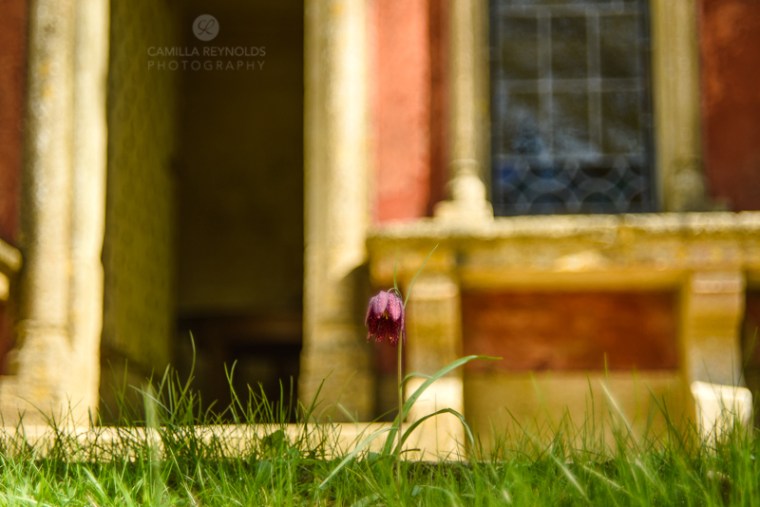 Rococo garden wedding Painswick (27)