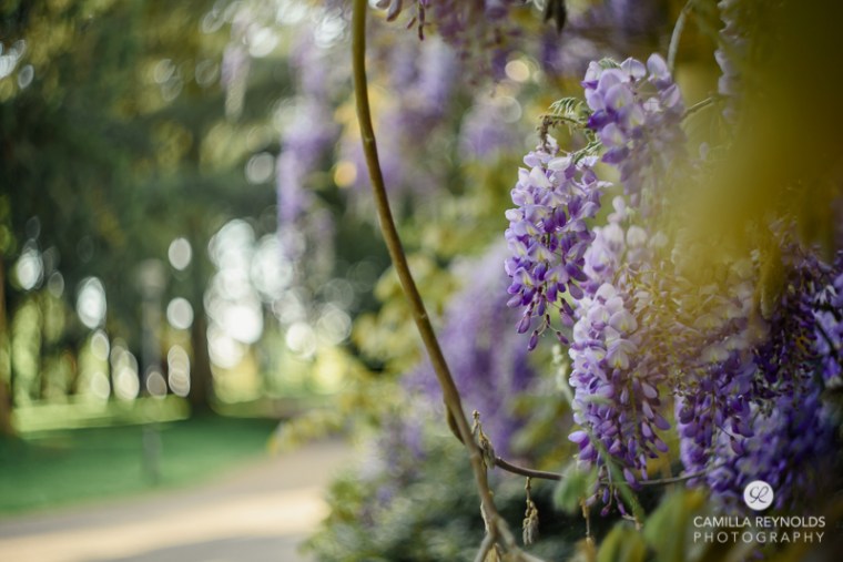 family wedding photographer Cotswolds (13)