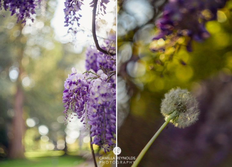 family wedding photographer Cotswolds (3)