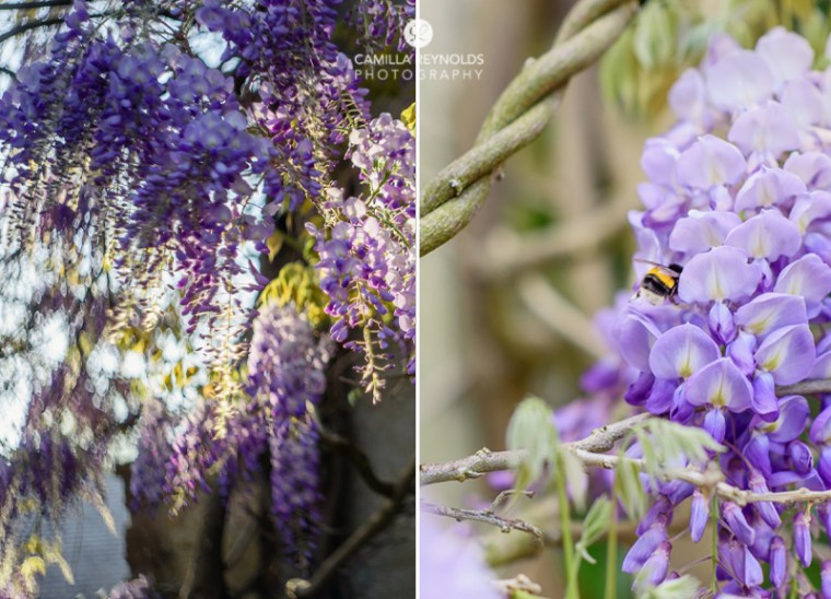 family wedding photographer Cotswolds (5)