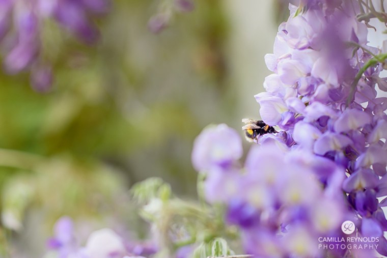 family wedding photographer Cotswolds (6)