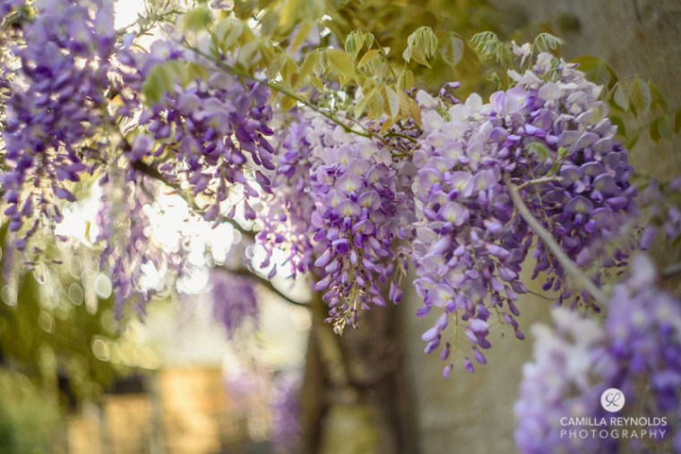 family wedding photographer Cotswolds (9)