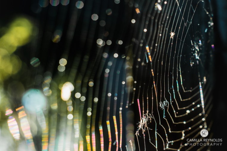 macro nature photo Camilla Reynolds-6