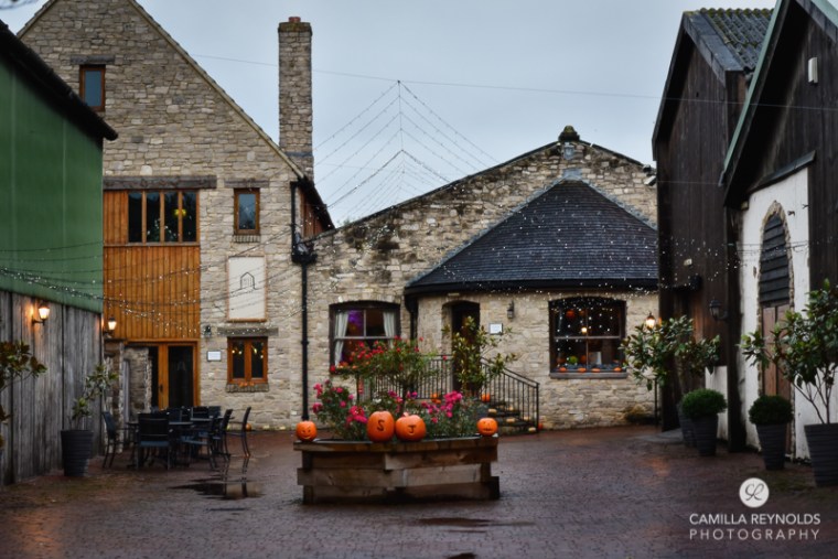 barn at berkeley wedding halloween (15)