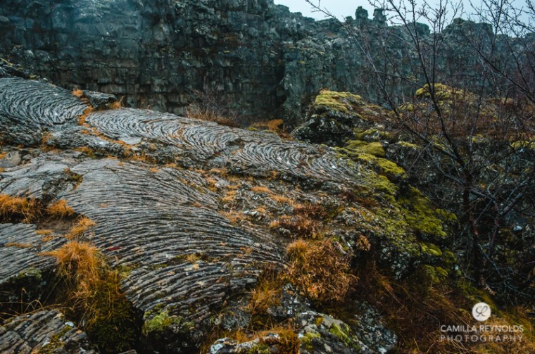 iceland camilla reynolds photography (24)