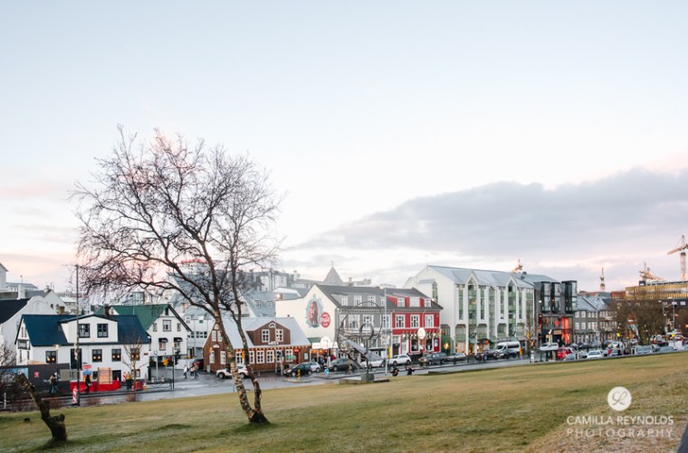iceland camilla reynolds photography (28)